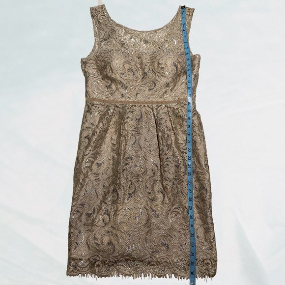 Jenny Yoo Collection Sliver and Cream Lace Cocktail Dress - Picture 11 of 12